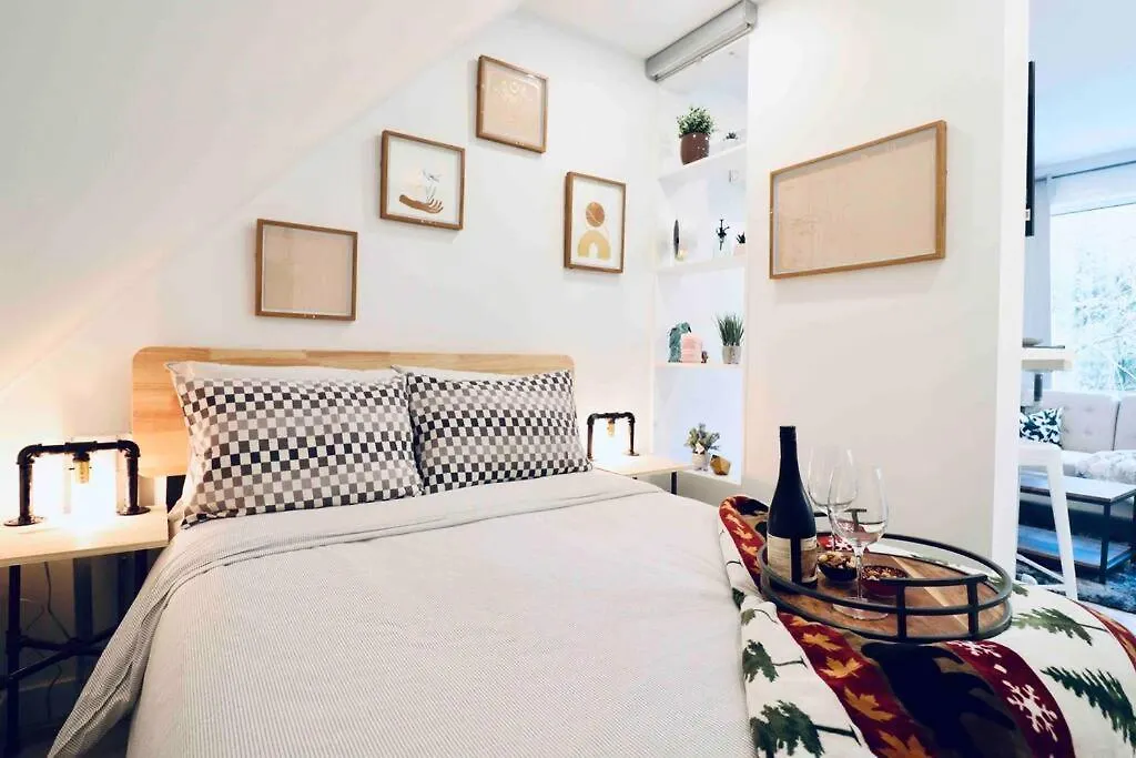 Apartment Cozy 1 Bedroom Laneway House Downtown Eastside Toronto Canada